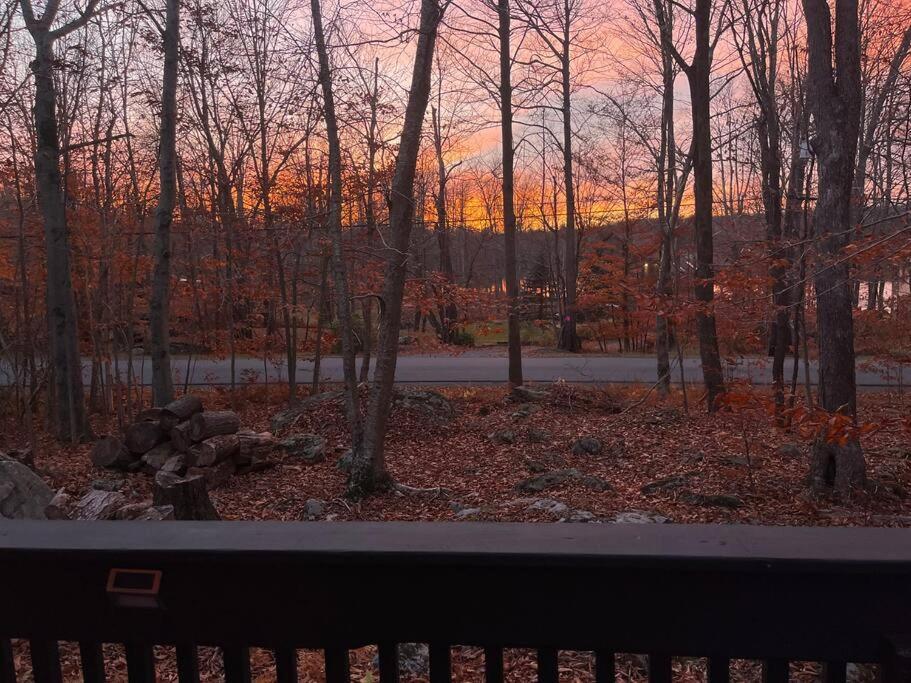 Stylish And Cozy Cabin, Walking Distance To Big Bass Lake Gouldsboro Exterior foto